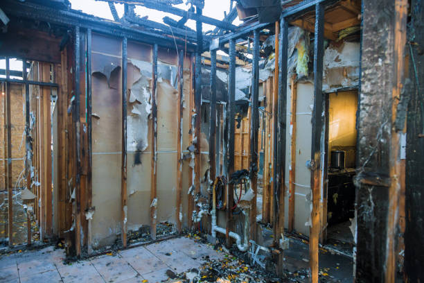 Professional Fire Damage Removal technician working in Foreman, AR